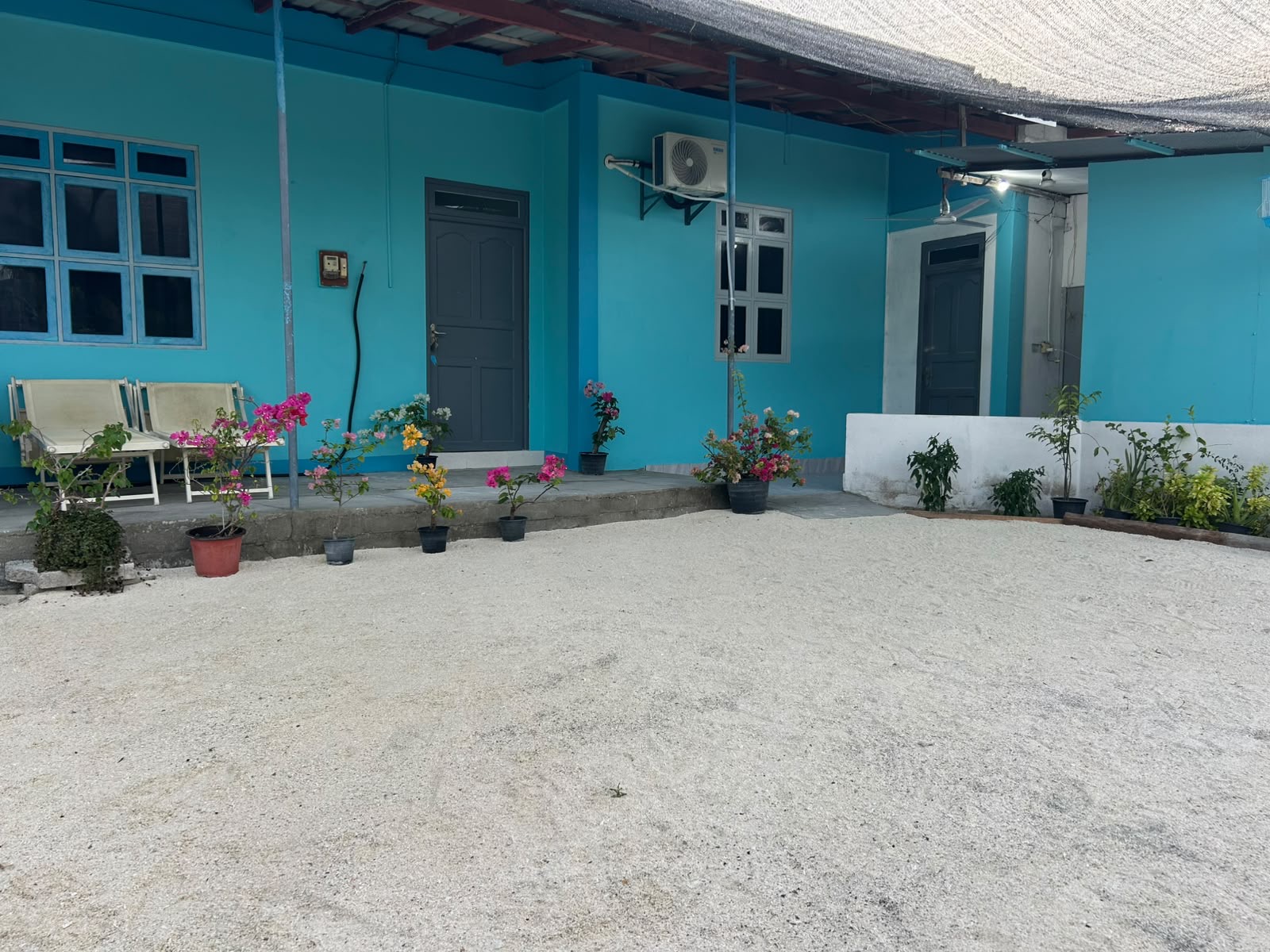 Guesthouse entrance and side doors along a shaded courtyard with soft white coral-sand ground and potted flowering plants