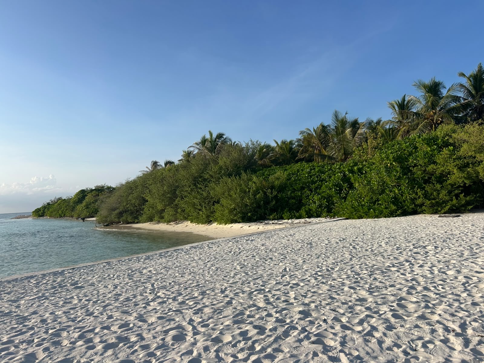 Curving white-sand beach on Kaashidhoo with clear shallow water on the left and dense green vegetation on the right