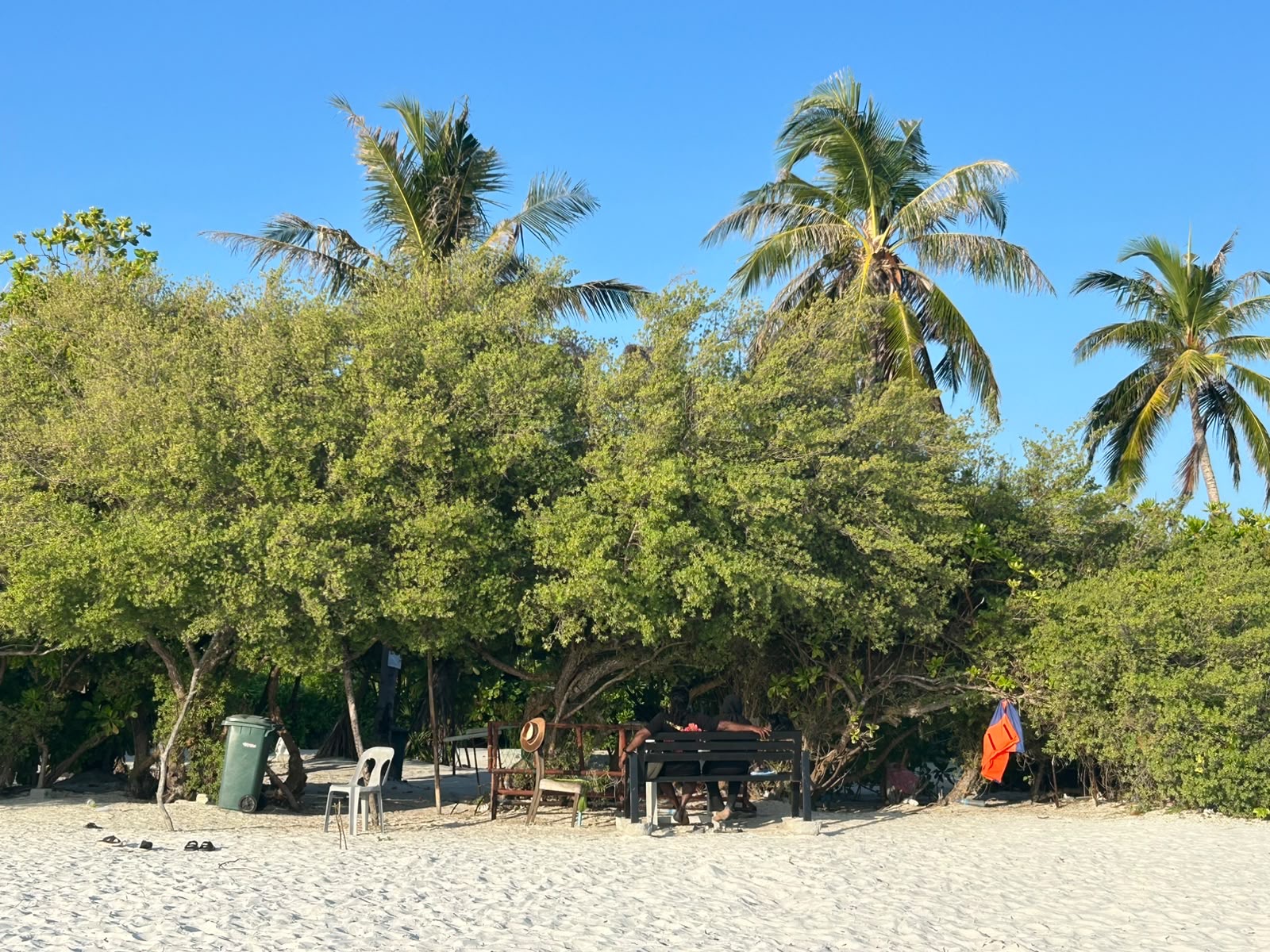 People sitting on a bench in the shade of sea-grape trees at the edge of a white sand beach, with tall palms behind